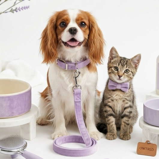 A warm and inviting scene featuring an assortment of OWTRLD pet toys, grooming brushes, and cozy accessories, showcasing a happy, well-cared-for pet environment