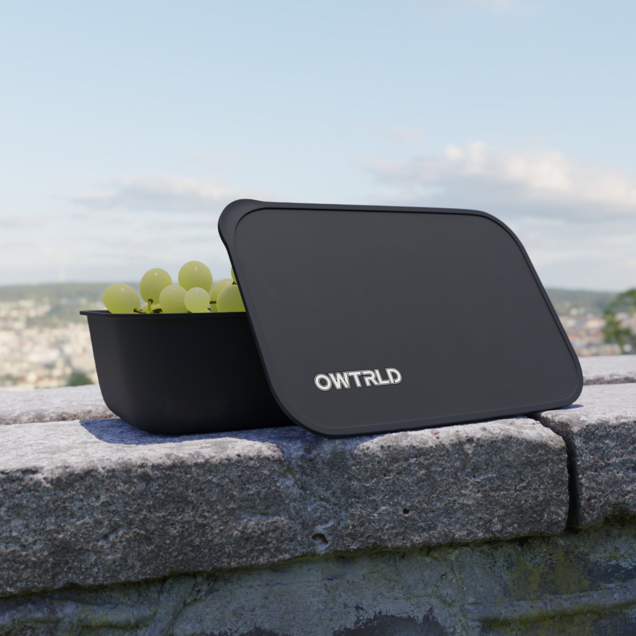 Reusable Bento Box With Band And Utensils Printify